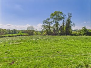 View from Rear- click for photo gallery